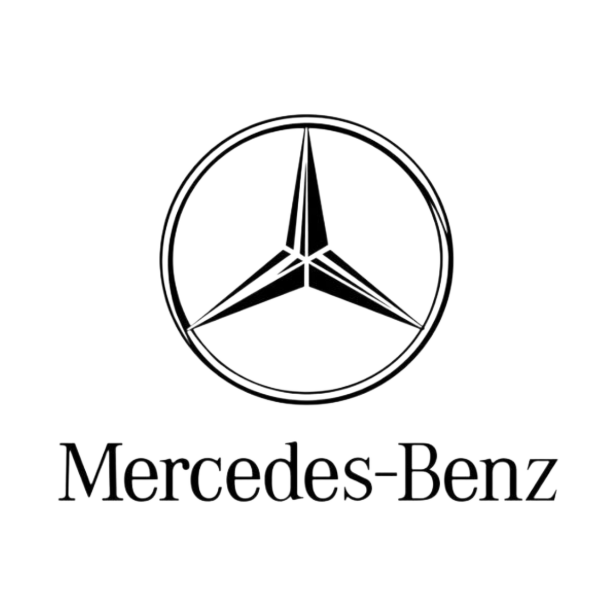 Mercedes F1 Team